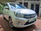 Suzuki Celerio 2015 Car