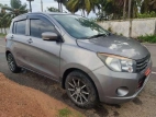 Suzuki Celerio ZXI 2015 Car