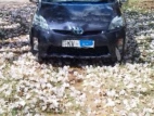 Toyota Prius 2011 Car