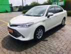 Toyota Axio 2015 Car