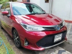 Toyota Axio WXB 2019 Car