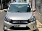 Suzuki Celerio ZXI 2015 Car