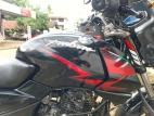 Bajaj Pulsar 135 2008 Motorbike