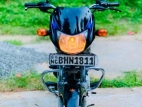 Bajaj CT 100 2018 Motorbike