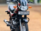 Bajaj CT 100 2024 Motorbike