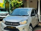 Suzuki Celerio 2015 Car