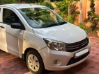Suzuki Celerio 2015 Car