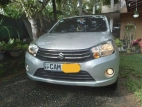 Suzuki Celerio 2015 Car