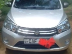 Suzuki Celerio 2015 Car