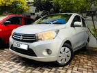 Suzuki Celerio Zxi 2017 Car