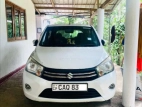 Suzuki Celerio ZXI 2016 Car