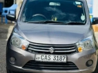 Suzuki Celerio 2016 Car