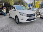 Suzuki Celerio 2015 Car