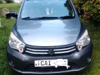 Suzuki Celerio 2015 Car