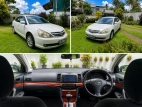 Toyota Allion 2006 Car