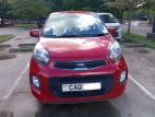 Kia Picanto 2016 Car