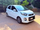 Kia Picanto 2016 Car