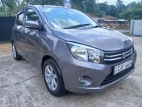 Suzuki Celerio 2015 Car