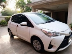Toyota Vitz 2019 Car