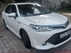 Toyota Axio 2017 Car