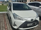 Toyota Vitz 2018 Car