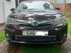 Toyota Axio 2015 Car