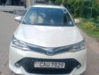 Toyota Axio 2017 Car