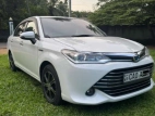 Toyota Axio 2015 Car