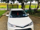 Toyota Axio G Grade 2015 Car