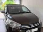 Suzuki Celerio 2015 Car