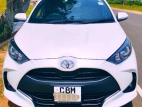 Toyota Yaris 2023 Car