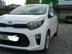 Kia Picanto 2017 Car