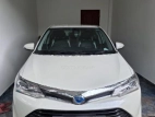Toyota Axio G GRADE 2015 Car