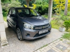 Suzuki Celerio 2014 Car