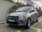 Suzuki Celerio 2015 Car