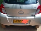 Suzuki Celerio 2014 Car