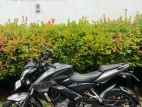 Bajaj Pulsar NS200 2018 Motorbike