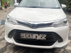 Toyota Axio 2016 Car