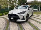 Toyota Yaris 2023 Car
