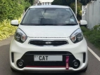 Kia Picanto 2017 Car