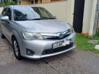 Toyota Axio 2014 Car - image 3