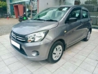 Suzuki Celerio 2015 Car