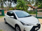 Toyota Vitz 2020 Car