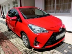 Toyota Vitz 2017 Car