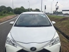 Toyota Vitz 2018 Car