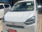 Daihatsu Mira X Limited 2024 Car