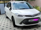 Toyota Axio 2016 Car