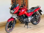 Bajaj Pulsar 135 2005 Motorbike