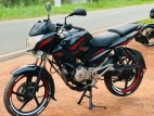 Bajaj Pulsar 135 2013 Motorbike