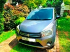Suzuki Celerio 2014 Car